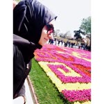 Merve