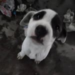 Mahsun