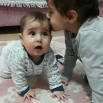 Sibel