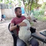 Ramazan