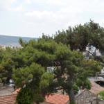 Orhan