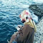 Havva