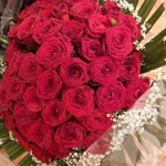 Aynur