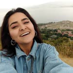 Şirin