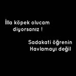 Meryem
