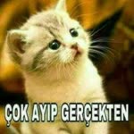 Safiye