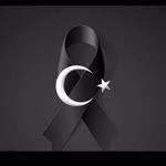 Erhan