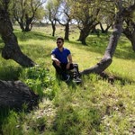 Serdar