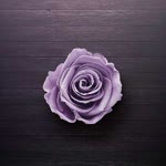 Meryem
