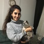 Süeda