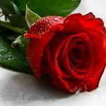 Orhan