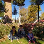 Gülsüm