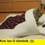 Yalnız