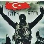 Enis