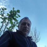 Süleyman