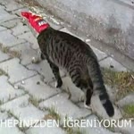 İrem