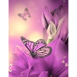 Beyza