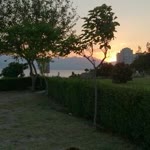 Tatsiana