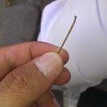 Berat