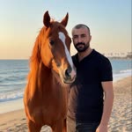 Ekrem