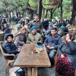 Şerife