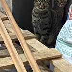 Profil fotoğrafı