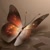 profile-icon