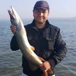 Ayhan