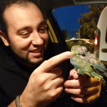 Gökay