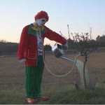 Şefik