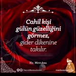 Mevlüt