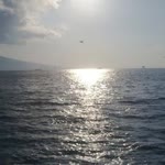 Nesrin
