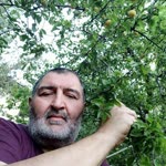 Sahin