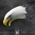 İlhan