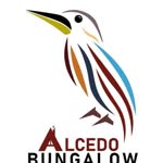 Alcedo