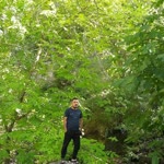 Suat