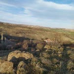 Pinar
