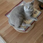 Profil fotoğrafı