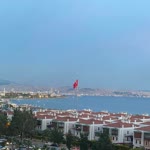 Sedat