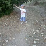 Umit