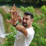 Şahin