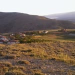 Murat