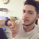 Erdal