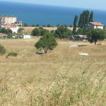 Fatih