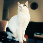 Emrah