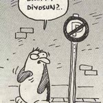 Selin