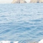 Özgül