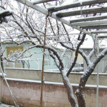 Selçuk