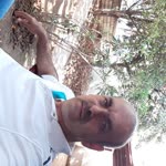 Hikmet