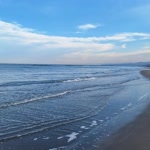 Reyhan